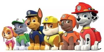 娱乐吃瓜人汪汪队,揭秘娱乐圈的“吃瓜”达人